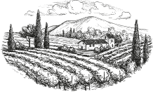 Le restaurant - Au Clair de la Vigne - Bandol - meilleur resto BANDOL